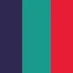 Vibrant Colors
