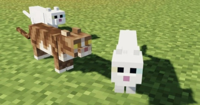 Which in-game pet or animal companion resonates with you the most?